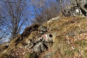 CASTEL REGINA (1424 m) e PIZZO CERRO ( 1285 m) ad anello da Catremerio l’11 gennaio 2019 - FOTOGALLERY